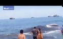 Συντονισμένη επιχείρηση διάσωσης φάλαινας στη Χιλή