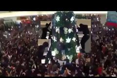 Μουσουλμάνοι επιτέθηκαν σε...χριστουγεννιάτικο δέντρο
