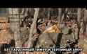 Τα 'έσπασαν' ο τράγος και η τίγρης που ζούσαν αρμονικά σε πάρκο της Ρωσίας