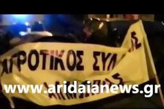 Εγκλωβισμένοι οδηγοί χορεύουν Ποντιακά μαζί με τους αγρότες... [video]