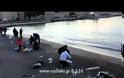 Γέμισε από... τσιπούρες το λιμάνι της Ρόδου