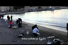 Γέμισε από... τσιπούρες το λιμάνι της Ρόδου