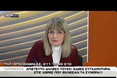 ΟΛΓΑ ΓΕΡΟΒΑΣΙΛΗ: ΚΑΛΑΠΟΥ ΥΠΑΡΧΕΙ Ο Γ. ΚΟΥΜΟΥΤΣΑΚΟΣ ΚΑΙ ΜΑΘΑΙΝΟΥΜΕ ΤΙΣ ΑΠΟΦΑΣΕΙΣ ΤΩΝ ΣΥΝΟΔΩΝ VD