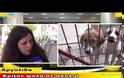 Σοκάρει το περιστατικό δηλητηρίασης σκύλων στους Μύλους [video]