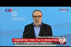 Θ. ΔΡΙΤΣΑΣ: ΔΕΝ ΕΧΕΙ ΤΕΘΕΙ ΘΕΜΑ ΜΗ ΕΦΑΡΜΟΓΗΣ ΤΗΣ ΣΥΜΦΩΝΙΑΣ Ε.Ε.-ΤΟΥΡΚΙΑΣ