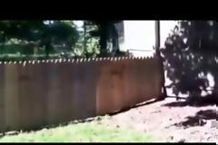 Έφτιαξε αυτόν τον φράχτη για τον σκύλο του. Αλλά κάτι έκανε λάθος... (βίντεο)