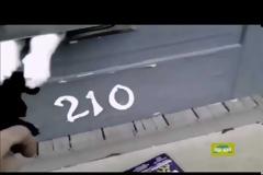 Κανείς δεν τον πίστευε ότι η γάτα έκανε αυτό το πράγμα κάθε μέρα.(video)