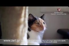 Τζους Ευειδη: Κουράστηκα να το λέω... Το νέο σποτ της ΖΕΗ [video]