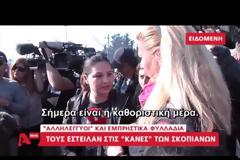 ΔΙΑΒΗΜΑΤΑ ΣΤΗΝ πΓΔΜ ΓΙΑ ΤΑ ΕΠΕΙΣΟΔΙΑ ΣΤΗΝ ΕΙΔΟΜΕΝΗ VD