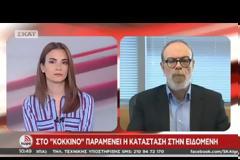 Γ. ΚΥΡΙΤΣΗΣ: ΘΑ ΣΥΝΕΧΙΣΤΕΙ Ο ΕΛΕΓΧΟΣ ΤΩΝ ΜΚΟ/ΑΛΛΗΛΕΓΓΥΩΝ ΣΤΗΝ ΕΙΔΟΜΕΝΗ VD