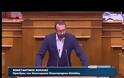 ΕΓΚΡΙΘΗΚΕ ΕΠΙ ΤΗΣ ΑΡΧΗΣ ΤΟ ΑΣΦΑΛΙΣΤΚΟ VD