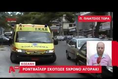 Σοκ έχει προκαλέσει η επίθεση των ροτβάιλερ σε παιδάκι [video]