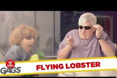 Ο ιπτάμενος αστακός! [video]