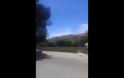 Μιλούνια από ακρίδες ο Άη Στράτης [video + photos]