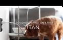 Ποσο άφθαρτο είναι το καλώδιο Titan?