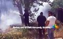 Κινδύνευσε το δάσος στις Θερμοπύλες - Πρόλαβαν τα χειρότερα πυροσβέστες, κάτοικοι και πρόσφυγες [video]