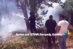 Κινδύνευσε το δάσος στις Θερμοπύλες - Πρόλαβαν τα χειρότερα πυροσβέστες, κάτοικοι και πρόσφυγες [video]