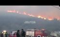 Σάμος: Ανεξέλεγκτα τα μέτωπα της φωτιάς! [photos+video]