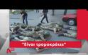 ΤΣΑΒΟΥΣΟΓΛΟΥ: ΟΙ ΟΚΤΩ ΤΟΥΡΚΟΙ ΣΤΡΑΤΙΩΤΙΚΟΙ ΘΑ ΕΚΔΟΘΟΥΝ ΤΟ ΣΥΝΤΟΜΟΤΕΡΟ