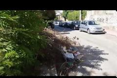 Πάτρα: Εστία τρωκτικών και ερπετών μπροστά από το δημοτικό βρεφοκομείο [video]