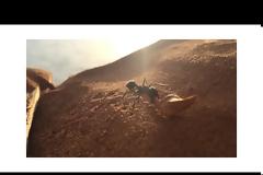 Η Apple ανέβασε δυο video τραβηγμένα από την κάμερα του iPhone που έγιναν από απλούς χρήστες