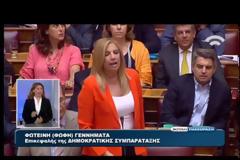 ΥΠΕΡΨΗΦΙΣΤΗΚΕ ΚΑΙ ΕΠΙ ΤΩΝ ΑΡΘΡΩΝ Ο ΕΚΛΟΓΙΚΟΣ ΝΟΜΟΣ VD