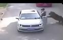 ΒΙΝΤΕΟ - ΣΟΚ: Τίγρης κατασπάραξε γυναίκα που βγήκε από το αυτοκίνητο... [video]