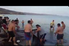 Έκαναν πρόβα για τον γρίπο στη Σούδα και τους συνέβη αυτό... [video]