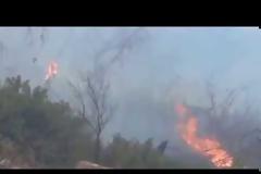 Ξεκίνησε η καταγραφή των ζημιών στα Σαχτούρια-Υπό στενό κλοιό η φωτιά