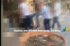 ΣΥΓΚΛΟΝΙΣΤΙΚΟ βιντεο από το κέντρο της Λαμίας - Άνθρωποι προσπαθούν να σώσουν σκύλο από τα δόντια άλλου σκυλιού [Προσοχή σκληρές εικόνες]