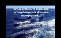 «Eίμαι Έλληνας και γουστάρω» - Ένα βίντεο τα λέει όμορφα και ωραία!