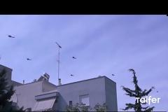 Στρατιωτικά ελικόπτερα σε σχηματισμούς πάνω από την Θεσσαλονίκη [video]