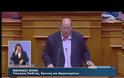 ΠΡΟ ΗΜΕΡΗΣΙΑΣ ΓΙΑ ΤΗ ΔΙΑΠΛΟΚΗ ΖΗΤΑ Ο ΠΡΩΘΥΠΟΥΡΓΟΣ