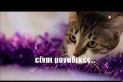 Τι κάνει Μιαου Μιαου στα Σπάτα; [video]