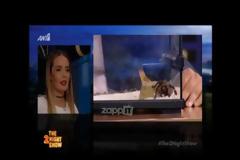 Έφυγε τρέχοντας από το πλατό η Αντωνία Καλλιμούκου! Η κίνηση του Αρναούτογλου δεν της άρεσε καθόλου!