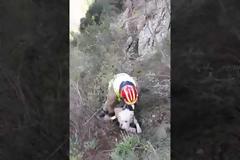 Πυροσβέστης και εθελοντές έσωσαν σκύλο από δύσβατη περιοχή κοντά στην Αράχωβα [video]