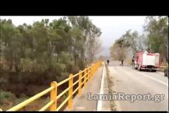 Λαμία: Έριξε δέντρα ο δυνατός αέρας [video]