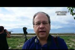 Σπάνιο είδος πάπιας στην Αργολίδα [video]