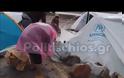 ΤΡΑΓΙΚΕΣ ΕΙΚΟΝΕΣ στη Σούδα που προσβάλουν την ανθρώπινη αξιοπρέπεια!