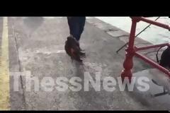 Θεσσαλονίκη: Σήκωσε το καλάμι και ΔΕΝ ΠΙΣΤΕΥΕ στα μάτια του!