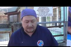 18 κτηνίατροι της Ε.Δ.Κ.Ε. * στα Γρεβενά προσφέρουν βοήθεια στα αδέσποτα ζώα [video]