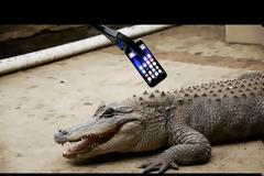 Τι συμβαίνει αν πέσει ένα iphone 7 στα σαγόνια ενός αλιγάτορα