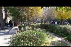 Χαμός στην Ακρόπολη! Ατελείωτες οι ουρές από τουρίστες για μία βόλτα στον Ιερό Βράχο [video]