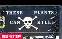 Δέκα δηλητηριώδη φυτά που μπορούν να σας σκοτώσουν μέσα σε λίγα λεπτά