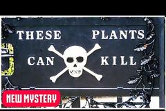 Δέκα δηλητηριώδη φυτά που μπορούν να σας σκοτώσουν μέσα σε λίγα λεπτά