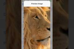 PanoramaPapers: Cydia tweak new....κάθε οθόνη και ταπετσαρία
