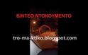 ΒΙΝΤΕΟ ΣΟΚ: Αγριογούρουνα κόβουν βόλτες μέσα σε πυκνοκατοικημένη περιοχή της Βέροιας