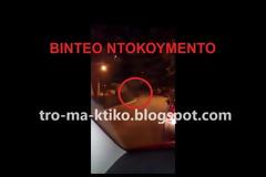 ΒΙΝΤΕΟ ΣΟΚ: Αγριογούρουνα κόβουν βόλτες μέσα σε πυκνοκατοικημένη περιοχή της Βέροιας