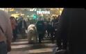 Έχουν ξεφύγει στο Τόκιο - Μυστηριώδης ξανθιά γυναίκα βγήκε βόλτα με μια... πολική αρκούδα [video]