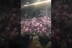Πανικός στο Μάντσεστερ: Οκτάχρονο Ελληνόπουλο ανάμεσα στους αγνοουμένους – Απελπισμένοι οι γονείς: «Βοηθήστε μας να βρούμε τα παιδιά μας!» (εικόνες,βίντεο)
